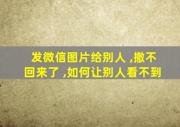 发微信图片给别人 ,撤不回来了 ,如何让别人看不到